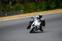 GSXR_WHITE