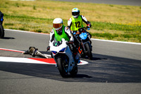 DUC_WHITE_WHITE