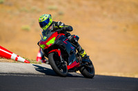 KAWI_RED_GREEN