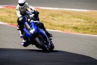 R1_ALL_BLUE