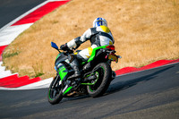 KAWI_GREEN_YEL
