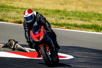 TRIUMPH_FANCY