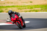 DUC_RED_BLACK