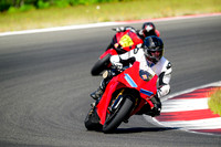 DUC_WINGS