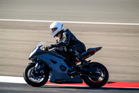 R6_PRIMER