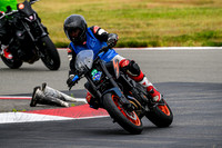 KAWI_GREEN_K