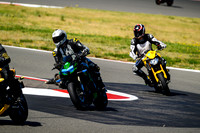 KAWI_GREEN_DARK
