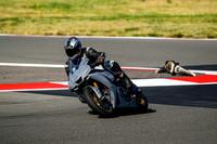 R1_PRIMER