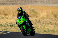 KAWI_GREEN_YEL