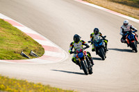 DUC_MONSTER_SHOEI