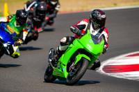 KAWI_GREEN_TRACK