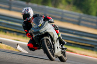KAWI_GREY