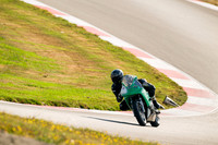 SV_GREEN