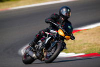 TRIUMPH_TRIP_ORANGE