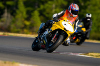 R6_YELLOW