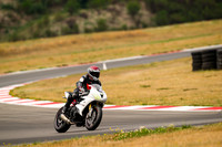 TRIUMPH_WHITE