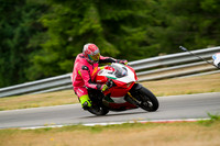 DUC_TRICOLORE