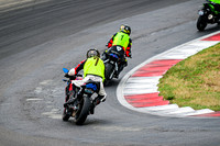 APRILIA_RS_GOLD