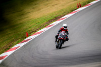 APRILIA_ROCKET