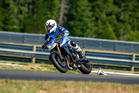 GSX