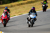 KAWI_WHITE_HONK