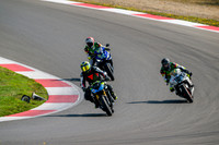 TRIUMPH_TRIP_GREEN