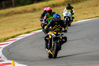 TRIUMPH_TRIP_YEL