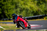 DUC_RED