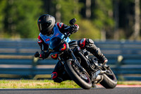 TRIUMPH_TRIP_EYES