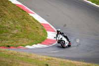DUC_WHITE