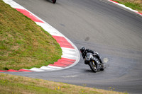 TRIUMPH_SILVER
