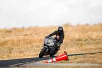 R6_PRIMER