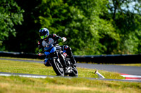 TRIUMPH_TRIP_SILVER