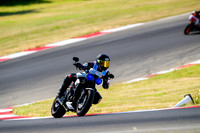 TRIUMPH_INST