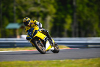 R6_YELLOW