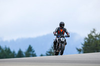 KTM_DUKE_WHITE
