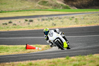 KAWI_NEON