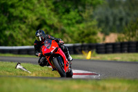 DUC_RED_SHARK