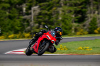 DUC_RED_SHOEI