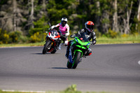 KAWI_GREENBLUE