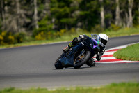 KAWI_PURP