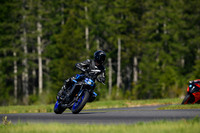 MT_BLUE