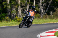 APRILIA_TUONO_INST