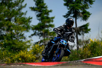 MT_BLUE