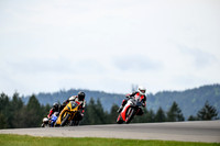 TRIUMPH_GOLD