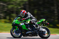 KAWI_GREEN
