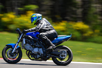 SV_BLUE