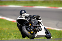 BUELL_WHITE