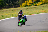 KAWI_GREEN_MONSTER