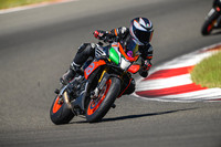 APRILIA_TUONO_GREEN